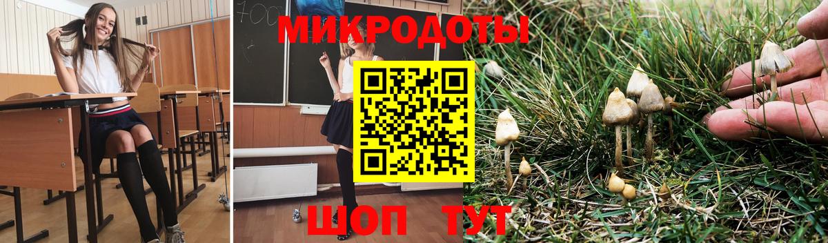 Галлюциногенные грибы Magic Shrooms Муравленко