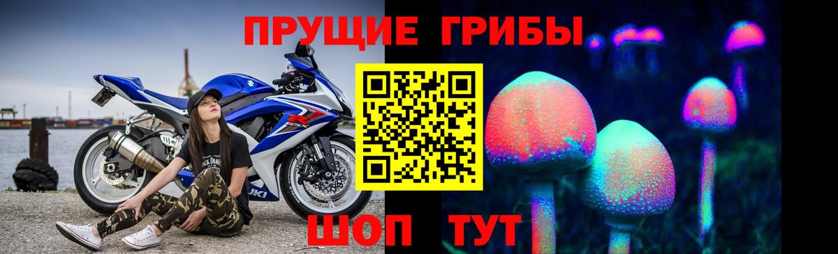где можно купить   Вход с VPN  Муравленко  Псилоцибиновые грибы Psilocybe  Псилоцибиновые грибы мицелий 